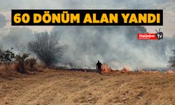 Laçin'de yine arazi yangını