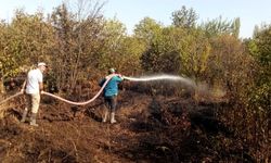 Dodurga'da ceviz bahçesi yandı