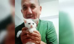 Kedilere mama vermek isterken hayatını kaybetti
