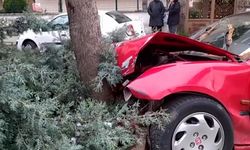 Çorum'da ağaca çarpan otomobilin sürücüsü yaralandı