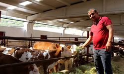 Çorum'da veteriner teknikeri AB standartlarında çiftlik kurdu