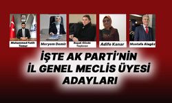 İşte AK Parti'nin İl Genel Meclis Üyesi adayları