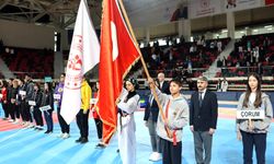 Türkiye Taekwondo Şampiyonası Çorum'da başladı