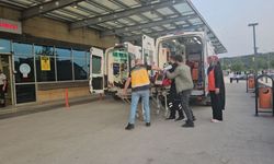 Otomobil refüje çarptı: 1'i bebek 5 yaralı