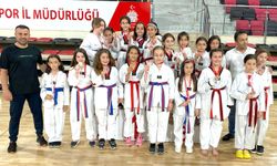 Küçük Kızlar Taekwondo’da madalyalar sahiplerini buldu
