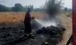 Osmancık'taki örtü yangınında ağaçlar zarar gördü