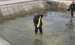 Amasya'da yetiştirilen balıklar Çorum'a gönderildi