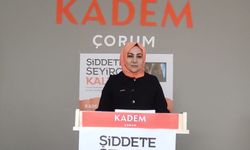 14 dizide 3013 kadına şiddet sahnesi