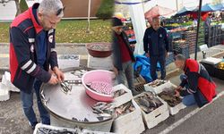 Çorum'da balık tezgahları denetlendi