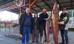 Burdur'da gölde tutulan dev yayın balığı görenleri şaşırttı