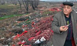 Çorum'da bir çiftçi tonlarca soğanı dökmek zorunda kaldı