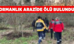 Ormanlık alanda hareketsiz halde yatarken bulundu