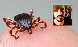 Kene kabusu can aldı!
