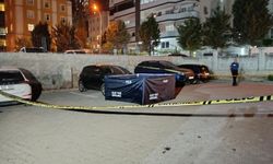 Genç kadını öldürüp canına kıydı