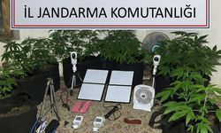 Uzaktan kontrolle metruk binada uyuşturucu yetiştirdi