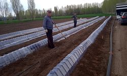 Çorum'da çiftçiler için devrim niteliğinde ürün geliştirildi