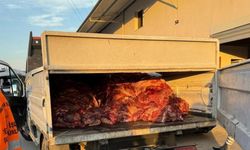 Adana'da 3 ton bozulmuş at eti ele geçirildi