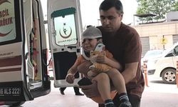Kazada yaralandı, oyuncağını elinden hiç bırakmadı