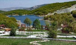 İbikçam Ormanı kiraya verilecek