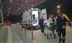 Akrabalar arasında kavga: 1 ağır yaralı