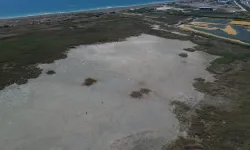 Milleyha Kuş Cenneti kuruyarak çöle döndü