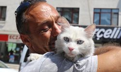 Kayıp kedisine günler sonra kavuştu