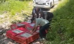 Kene ile mücadele timleri doğaya salındı
