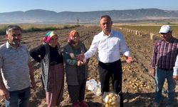 Çorum'da bir çiftçi patateslerini ücretsiz olarak dağıtacak