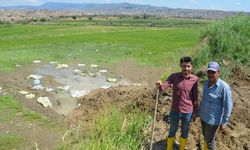 Dodurga'da yıkılan sulama kanalı onarıldı
