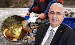 Ahlatcı bu ilimizde altın arayacak!