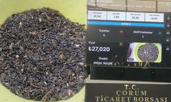 Yağlık ayçiçeği 27 liradan alıcı buldu