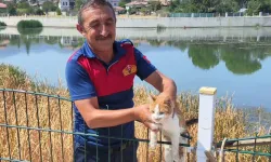 Nehre düşen kediyi ekipler kurtardı