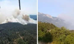 Sinop'ta orman yangını! Bir köy tahliye edildi