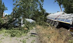 Yoldan çıkan tır ağaçlara çarptı