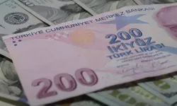 Ekonomistlerin dolar/TL ve enflasyon beklentisi yükseldi
