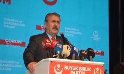 'Türkiye düşerse bu coğrafya düşer'