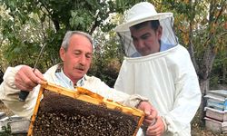 Çorum'da bal hasadı