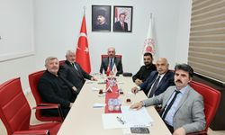 Sokak hayvanları için yeni adımlar planlanıyor