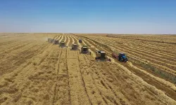 FAO'dan Türkiye'deki projelere 8,1 milyon dolarlık kaynak