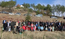 İskilip'te 200 fidan toprakla buluşturuldu