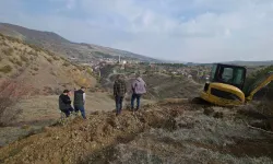 Çorum'da 55 dönümlük 'Bal Ormanı' kuruluyor