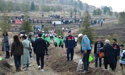 Çorum’da 8 bin fidan toprakla buluştu