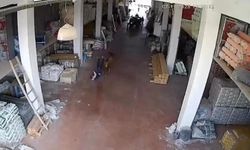 Depoya giren inek çalışanlara saldırdı