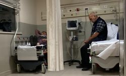 Ormandaki mantarları yiyen 7 kişi hastanelik oldu