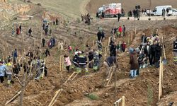 Nadık Şehir Ormanı’nda ilk ağaçlar toprakla buluştu