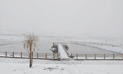 Ordu'nun yükseklerine kar yağdı