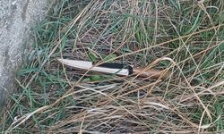 Çorum'da arkadaşını bıçaklayan çocuk gözaltına alındı