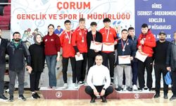 Grekoromen’de dört altın bir gümüş bir bronz madalya