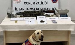 Uyuşturucu operasyonu:  1 kişi tutuklandı