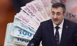 Vatandaşlık maaşı geliyor! Cevdet Yılmaz tarih verdi